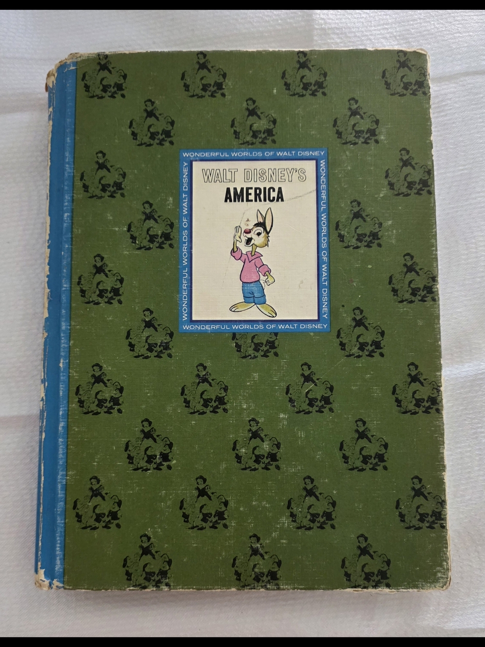 Walt Disney's America Illustrated Hardcover Book - Green Cover